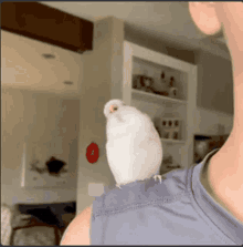 a white bird perched on a man 's shoulder