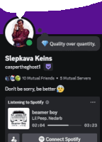 a screenshot of sleepava keins 's spotify profile