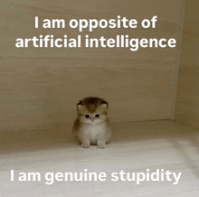 a kitten sitting on a wooden floor with a caption that says i am opposite of artificial intelligence