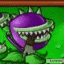 a purple plant with sharp teeth is sitting on a green background .