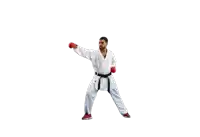 a man in a white karate uniform with a black belt and red boxing gloves