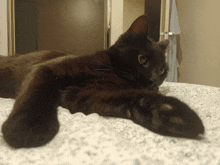 a black cat laying on a bed with its paws outstretched