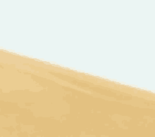 a close up of a sand dune on a white background .