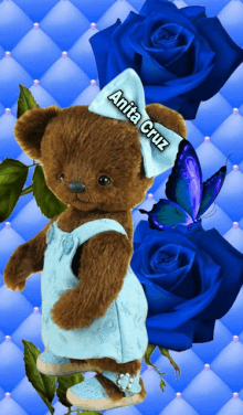 a teddy bear with the name anita cruz on it stands in front of blue roses