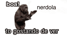 a monkey is dancing with the words `` boa ! nerdola to gostando de ver '' .