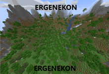 a screenshot of a video game with the words " ergenekon " on the top