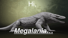 a statue of a lizard with the words hi megalania above it