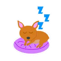 a brown dog is sleeping on a purple pillow with a blue zzz sign above it