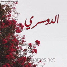 a picture of a tree with red flowers and a name in arabic on it