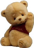 a teddy bear wearing a red shirt with the word pooh on it