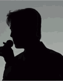 a silhouette of a man holding a microphone in his hand .