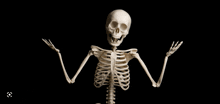 a skeleton with its arms outstretched against a black backdrop