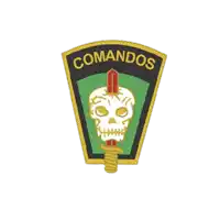 a patch with a skull and a sword that says comando on it