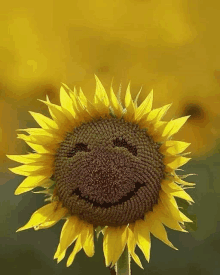 a sunflower with a smiley face on its center