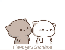 two cartoon cats are standing next to each other and saying i love you soonhw