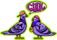 a cartoon drawing of two pigeons with cool written in a speech bubble above them