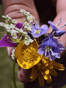 a person is holding a bunch of flowers including yellow and purple flowers