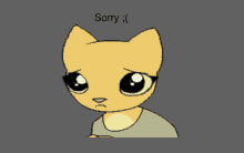 a cartoon cat with a sad face and the words sorry