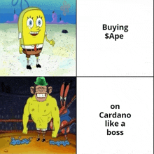 a picture of spongebob and a picture of a monkey with the words " buying $ ape " on cardano like a boss