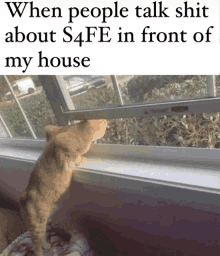 a cat looking out a window with the caption when people talk shit about safe in front of my house