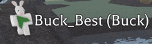 a white rabbit is standing next to a sign that says buck best ( buck )