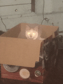 a cat is in a cardboard box that says keurig on the side