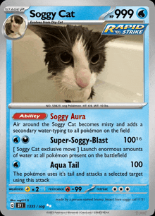 a soggy cat pokemon card with a picture of a cat