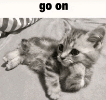 a black and white photo of a kitten laying on a bed with the words go on above it