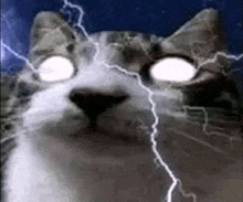 a close up of a cat with lightning coming out of its eyes .