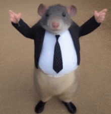 a rat wearing a suit and tie is standing with its arms outstretched