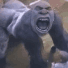 a close up of a gorilla screaming with its mouth open .