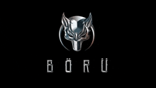 a silver wolf head is on a black background with the word boru .