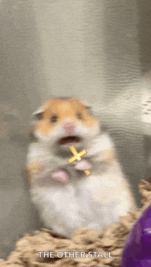 a hamster is holding a cross in its mouth and the other stall is visible in the corner