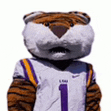 a tiger mascot is wearing a purple and yellow jersey .