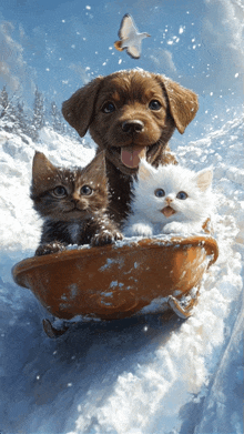 a dog and two kittens are sledding down a snow covered hill