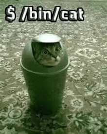 a cat is sticking its head out of a trash can on a table .