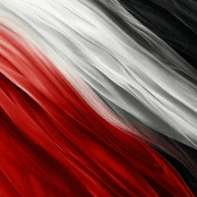 a red white and black background with a wave