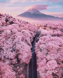 an aerial view of a road surrounded by cherry blossom trees and a mountain in the background