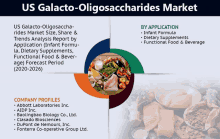 a us galacto oligosaccharides market poster with a picture of food