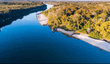 an aerial view of a river surrounded by trees and a sandy beach .