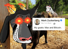 a picture of a goat and a facebook post by mark zuckerberg that says my goats max and bitcoin