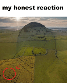 an aerial view of a field with the words " my honest reaction " above it