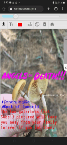 a phone screen shows a picture of mushrooms and the words " angels of death " on the bottom