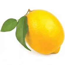 a lemon with green leaves on it is on a white background .