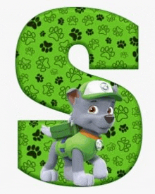 the letter s is from the paw patrol alphabet with rocky on it .