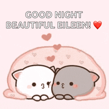 a cartoon of two cats hugging each other with the words good night beautiful eileen