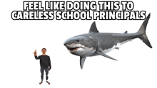 a man standing next to a large shark with the words feel like doing this to careless school principals