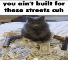 a cat sitting on top of a pile of money with guns