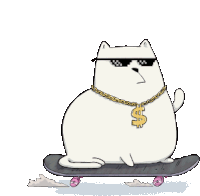 a cartoon cat wearing sunglasses and a chain with a dollar sign on it is riding a skateboard