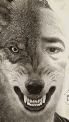 a close up of a wolf 's face with a man 's face behind it